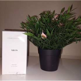 Resim Milos 100 Ml Edt Erkek Parfümü Oryantal 