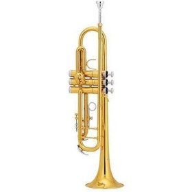 Resim JINBAO JBTR400L Sib Trompet 