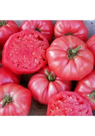 Resim Doğal Kahvaltılık Sofralık Ege Pembesi Domatesi Tohumu 20 Tohum 