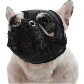 Resim Geeroyoo Köpek Ağızlığı - Isırma Önleyici, Hafif Ağ Tasarım, Nefes Alma Ve İçme Özgürlüğü, Siyah, S Boyutu Hd-550 Siyah 