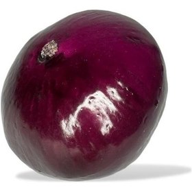 Resim Yapay Kırmızı Soğan 1adet Yapay Sebze 8 7 Cm Gerçek Boyut 