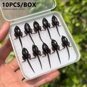 Resim 10 Adet Kurbağa Şeklinde Yumuşak Yemler ile Kancalar - Yapay Balık Yemi, Yüzme Eylemi, Gerçekçi Tadpole Fly Fishing Yemleri, Koyu Renkli TPE Malzeme, Tatlı ve Tuzlu Su Balıkçılığı için Uygun 