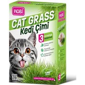 Resim Hobi Kedi Çimi - Cat Grass 3 Kullanımlık Doğal Buğday Tohumlu Sağlık Desteği 