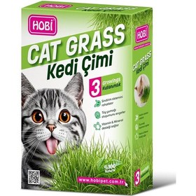Resim Hobi Kedi Çimi - Cat Grass 3 Kullanımlık Doğal Buğday Tohumlu Sağlık Desteği 