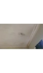 Resim Renklimestore Flora Nem Alıcı Yedek 450 gr 6 Adet 