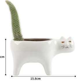 Resim Lemestar Kedi Kuyruklu Seramik Süs Bitki Kasası - Sukulent Ve Kaktüs İçin 8 Cm Beyaz, Masaüstü/pencere Üstü 