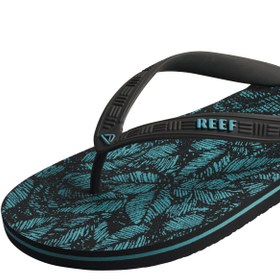 Resim REEF SEASIDE PRINTS - SERİN PALMİYE - AQUIFIER PALM / 44 