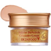 Resim Skinfood Solmon Darkcircle Concealer Cream - Kapatıcı No: 02 10g 