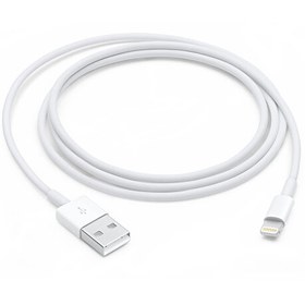 Resim Apple MQUE2ZM/A 1M Lightning Usb Kablo Apple