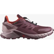 Resim Salomon SUPERCROSS 4 GORE-TEX Kadın Koşu Ayakkabısı Tawny Port L47594500 
