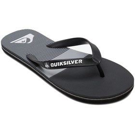 Resim Quiksilver Molokai Tijuana Erkek Terlik 