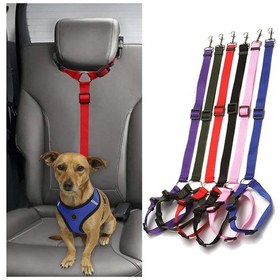 Resim Yuvarlak Pembe Küçük Orta Köpekler Seyahat Klip Pet Malzemeler 6 