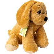 Resim Petrichor Sarı Golden Köpek 30 Cm 