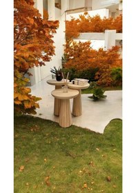 Resim Doğal Masif Ahşap Mantar Sehpa 3 Lü Set Naturel Renk Zigon Ve Fiskos Sehpa Takımı - Çiçeklik Naturel 