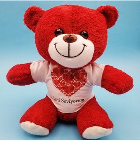 Resim Larimar Kalpli Seni Seviyorum Tişörtlü Kırmızı Peluş Ayıcık - 9019794681600lmr 