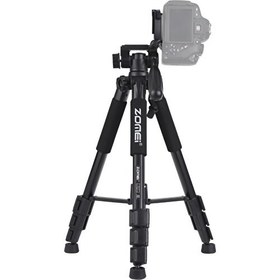 Resim Golden Times Zomei Q111 142CM / 56 ve Til Limanı Til (Yurt Dışından) 