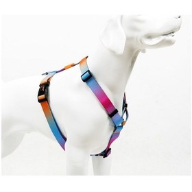 Resim H-tipi Göğüs Tasması - Xs / Pass Pass Diğer 