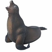 Resim Collecta Deniz Aslanı 