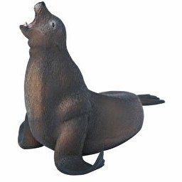 Resim Collecta Deniz Aslanı 