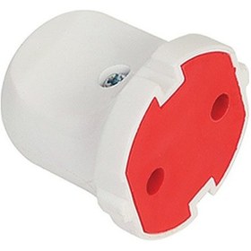 Resim Mutlusan Topraksız Dişi Fiş 