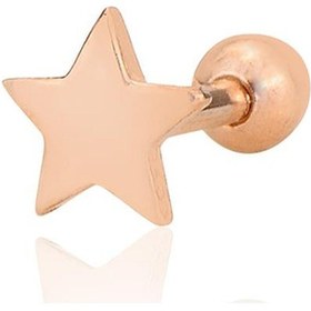 Resim Gümüş Rose Yıldız Modeli Tragus Helix Piercing Küpe Barcode Gümüş - Çok Renkli 