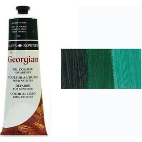 Resim Daler Rowney Georgian Yağlı Boya 225Ml 352 Hookers Green 