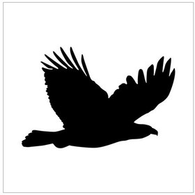 Resim Kartal Folyo Sticker Derstv754 70cm Uzunluk Siyah 