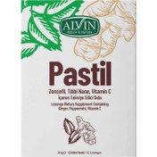 Resim Alvin Zencefil&Nane&Vitamin C Pastil 31 G 