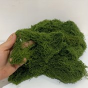 Resim 1 adet Yapay Yosun Çim Turf, Mikro Peyzaj için Polyester Sahte Yeşillik, Bonsai Saksı, Ev Dekoru, Dış Mekan Verandası, Şükran Günü - İlkbahar Sezonu, Konteyner Yok, Elektriksiz, Dış Mekan Çim Süslemeleri 