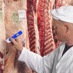 Resim Sevgift Amt 206 Infrared ve Daldırma Problu Gıda Termometresi (Haccp) 