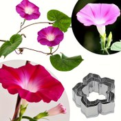 Resim TMRCOOKIE Paslanmaz Çelik Morning Glory Çiçek Kek Süsleme Kalıbı - 430 Gıda Sınıfı Detaylı Yaprak ve Sap Tasarımı, Şeker Çiçekler, Fondan, Kil Sanatı İçin - Yeni Başlayanlar & Uzman Fırıncılar için Kullanım Kolaylığı, Çoklu Tatil Pişirme Aracı (Cadılar Bayramı, Noel, Paskalya, Şükran Günü), Fondan Kalıpları, Hassas El İşi, Tatil Dekorasyoncuları 