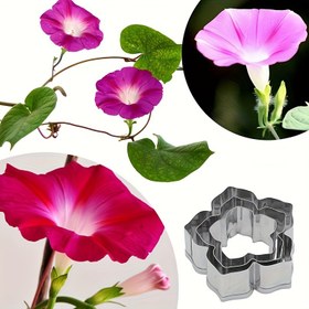 Resim TMRCOOKIE Paslanmaz Çelik Morning Glory Çiçek Kek Süsleme Kalıbı - 430 Gıda Sınıfı Detaylı Yaprak ve Sap Tasarımı, Şeker Çiçekler, Fondan, Kil Sanatı İçin - Yeni Başlayanlar & Uzman Fırıncılar için Kullanım Kolaylığı, Çoklu Tatil Pişirme Aracı (Cadılar Bayramı, Noel, Paskalya, Şükran Günü), Fondan Kalıpları, Hassas El İşi, Tatil Dekorasyoncuları 