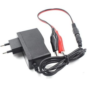 Resim 12v 1000ma Kurşun Asit Kuru Akü Şarj Adaptörü Akü Takviye Cihazı Soketli Krokodilli 