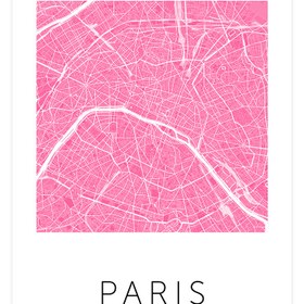 Resim Pari̇s Pembe Hari̇ta - Art Print - 30x40 cm 
