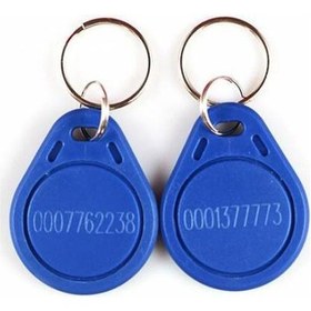 Resim 10 Adet Mavi Renkli 125Khz Rfid Göstergeç. Balık Anahtarlık Uyum 