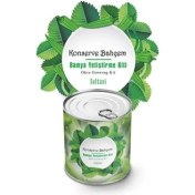 Resim Adatak® Konserve Bahçem Evde Konservede Sultani Bamya Yetiştirme Kiti 