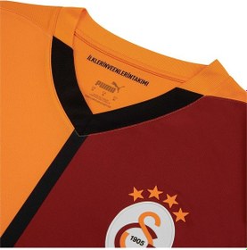 Resim Puma Galatasaray Gsk Home Jersey Wo S 24/25 Erkek Forma-kırmızı Kırmızı 