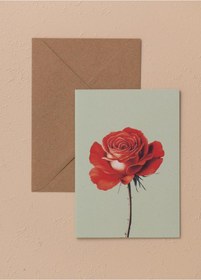 Resim The Mia Art Line Mini Tebrik Kart Seti Rose 10 X 14 Cm 