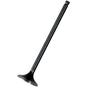 Resim Tvs Raider 125 Egzoz Subap N8011710 