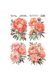 Resim Pirinç Dekopaj Kağıdı 30x42cm Pt-1666 