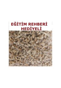 Resim 100 Gr Kültür Mantarı Tohumu Ve 12 Litre Kültür Mantarı Kompostu Mantar Ekim Torfu Ve Kılavuz 