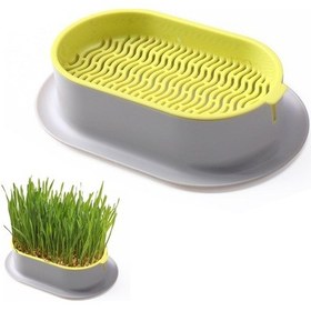 Resim Mufunye Kedi Çimi Ekici Hidroponik Yetiştirme Kiti İç Mekan İçin Topraksız Kedi Nanesi Buğday Çimi A 