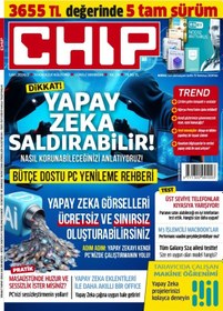 Resim Chip Dergisi Yıllık 4 Sayı 