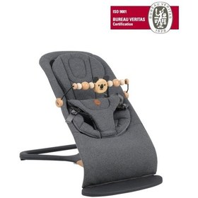 Resim Will Bouncer Side Ana Kucağı - Anthracite & Ana Kucağı Oyuncağı Koala Natural 