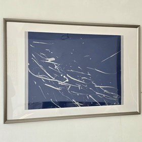 Resim Gümüş Balıklar Resim 2 