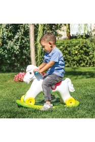 Resim Dolu Sallanan At 