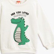 Resim Erkek Bebek Dinozor Baskılı Sweatshirt Aplike Detaylı Uzun Kollu Bisiklet Yaka 