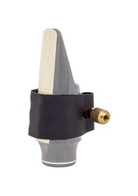 Resim Franck Bichon Bg-l12rsj Alto Saksafon Bileziği Jazz Gümüş Kaplama Mavi Şerit Parlak Caz Tonu 