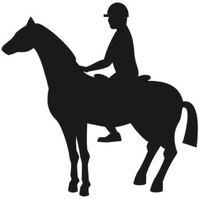 Resim Binici Folyo Sticker 50cm Uzunluk Siyah 