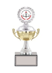 Resim Odak Kupa - Small Kupalar - S-072 C - 26 Cm Altın - Beyaz 